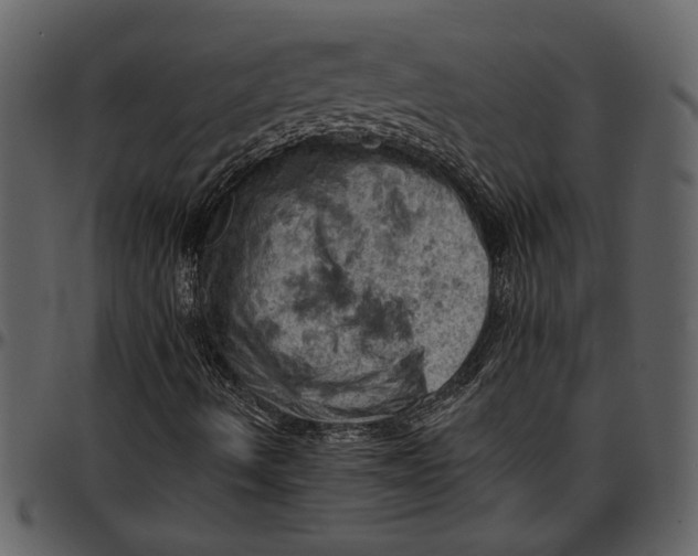 X0000096951490200802291044