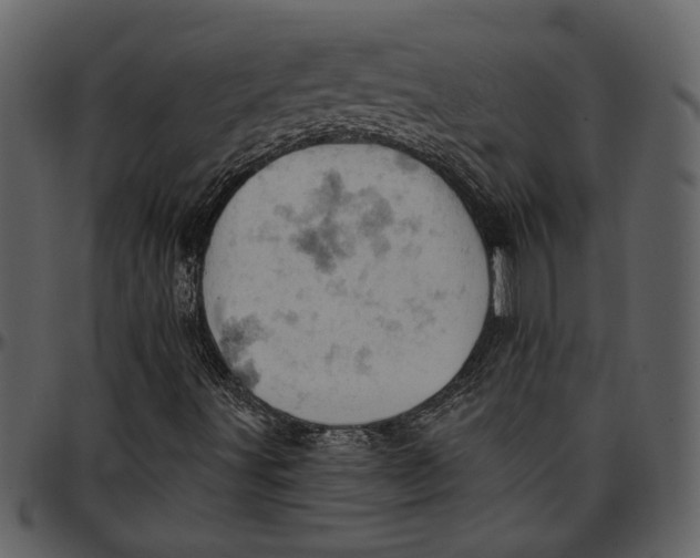 X0000096951491200802291044