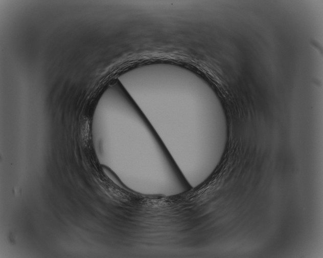 X0000096951492200802291044