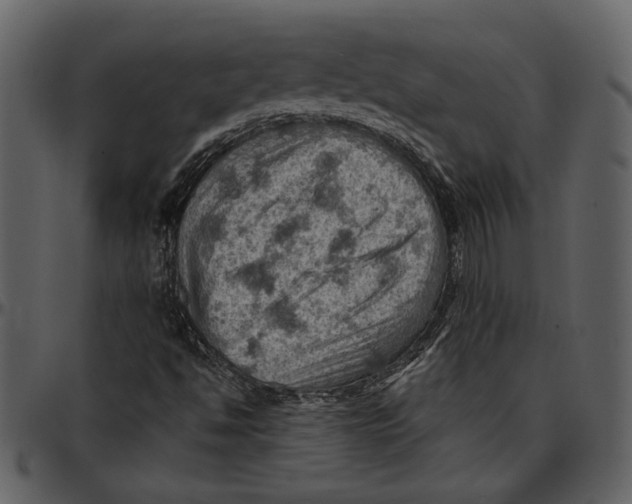 X0000096951494200802291044