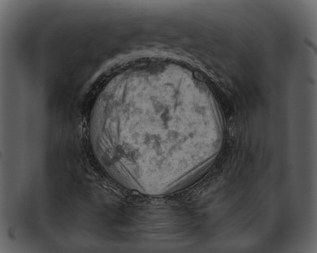 X0000096951495200802291044