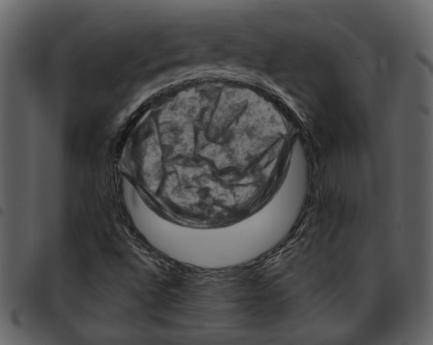 X0000096951496200802291044