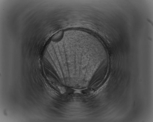 X0000096951497200802291044