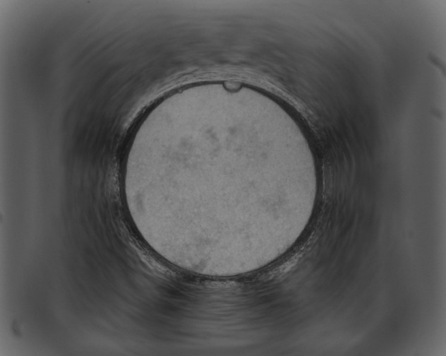 X0000096951498200802291044