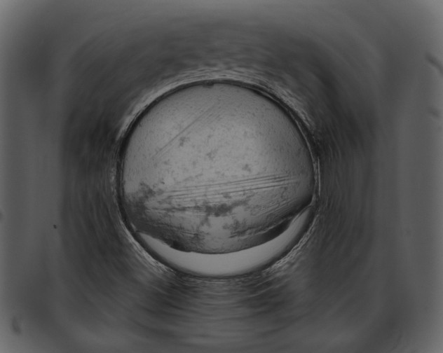 X0000096951500200802291044