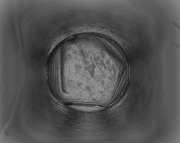 X0000096951501200802291044