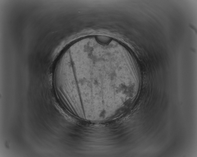 X0000096951503200802291044