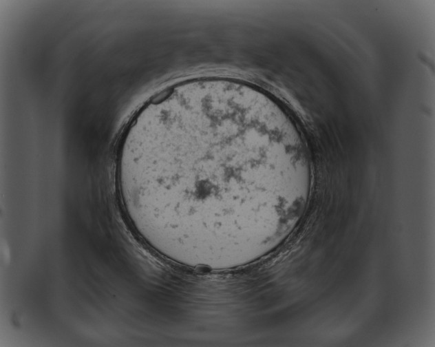 X0000096951504200802291044