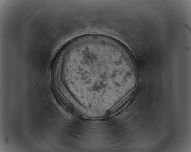 X0000096951507200802291044