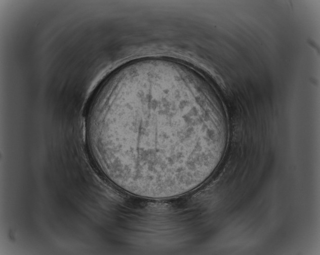 X0000096951509200802291044