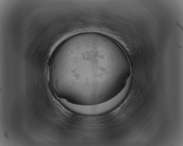 X0000096951510200802291044