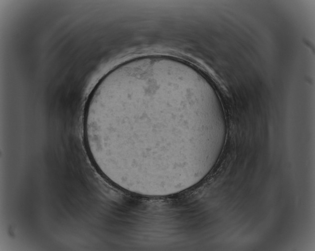 X0000096951512200802291044