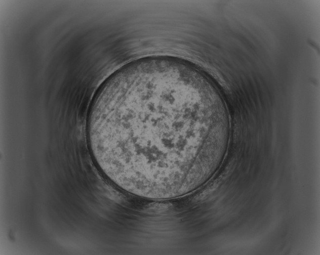 X0000096951513200802291044