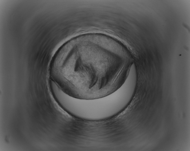 X0000096951518200802291044