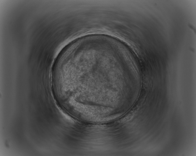 X0000096951519200802291044