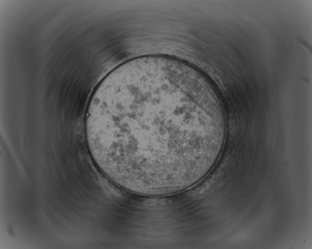 X0000096951521200802291044