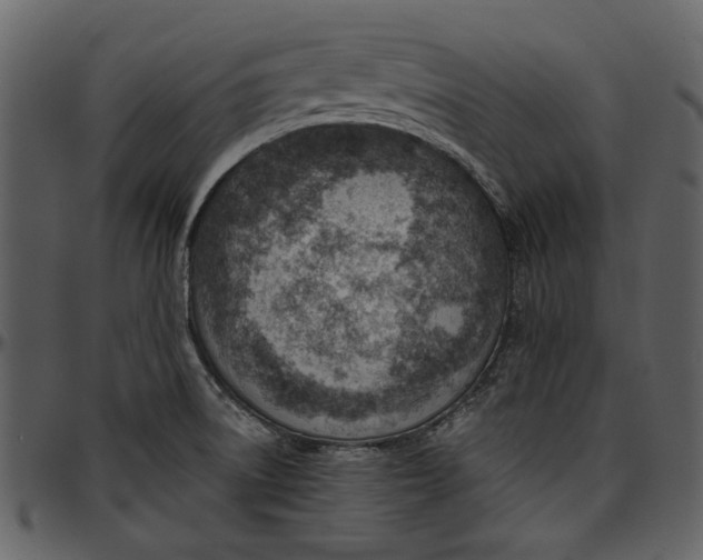 X0000096951522200802291044