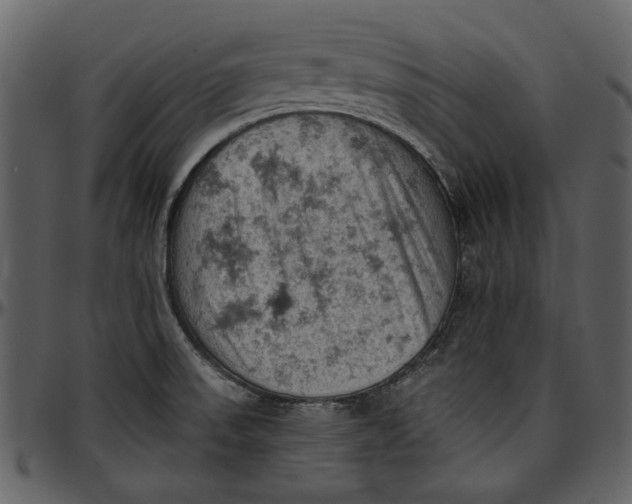 X0000096951523200802291044