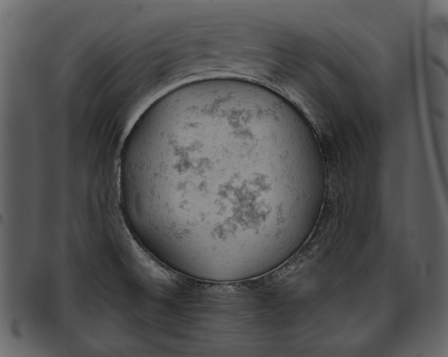 X0000096951524200802291044