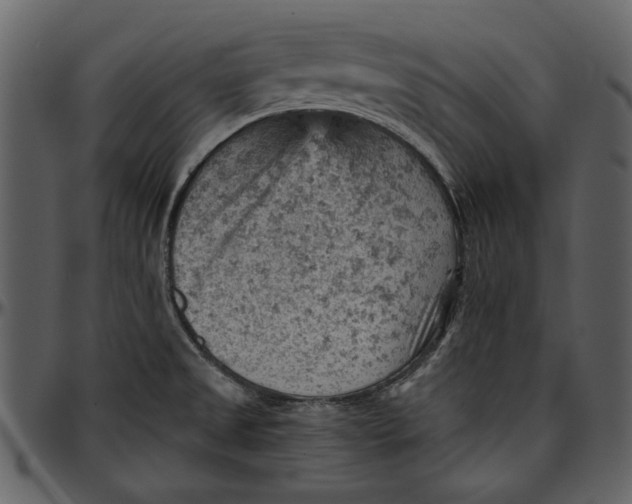 X0000096951525200802291044