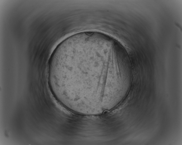 X0000096951526200802291044