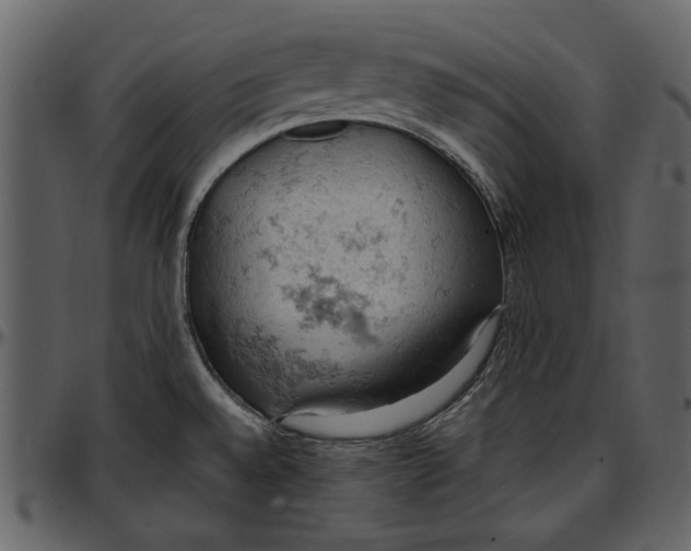 X0000096951528200802291044