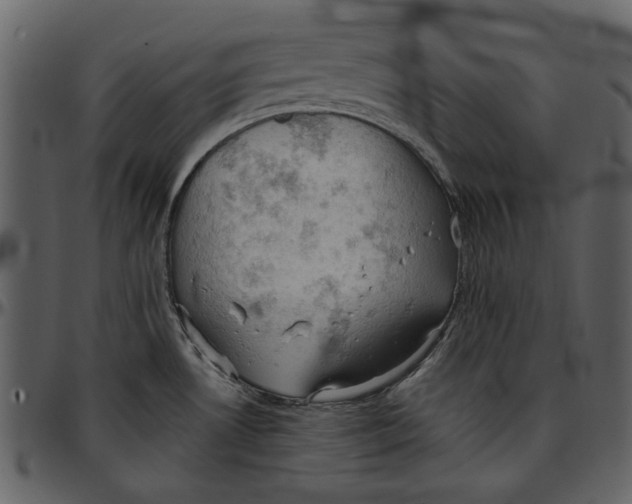 X0000096951530200802291044