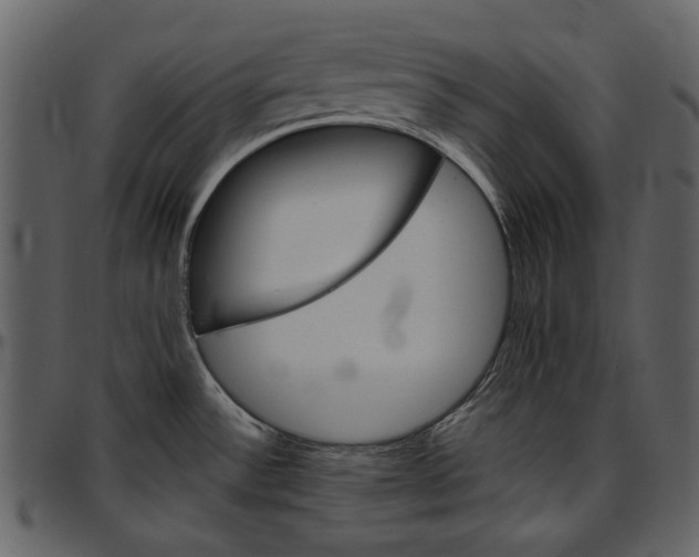 X0000096951532200802291044