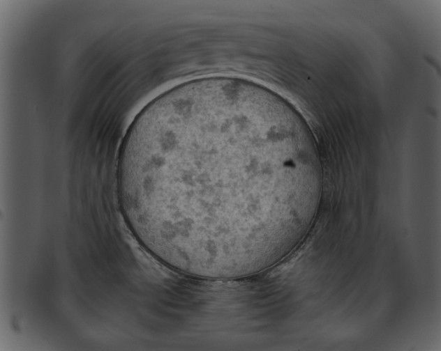 X0000096951534200802291044