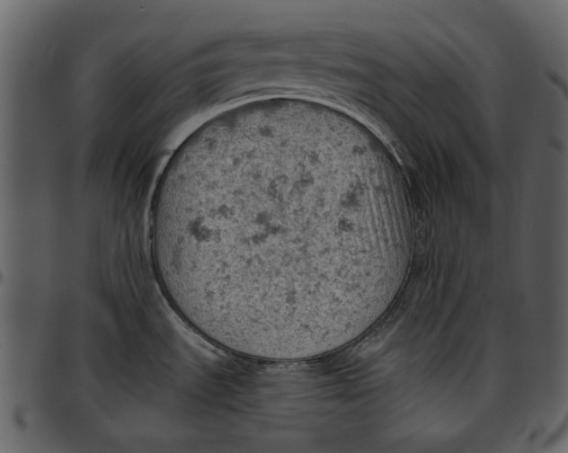 X0000096951535200802291044