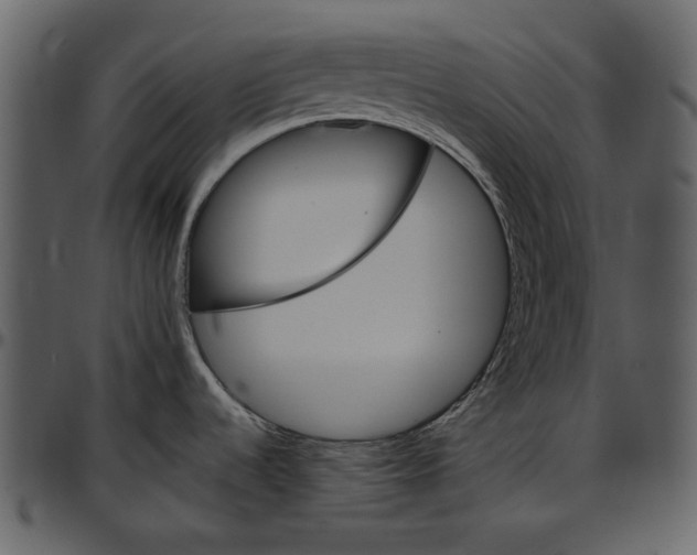 X0000096951536200802291044