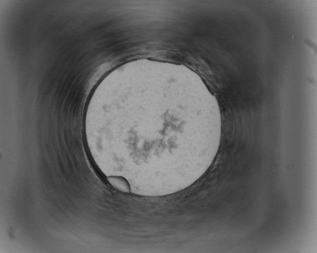 X0000096950003200803071038