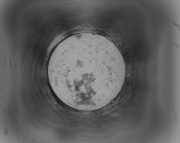 X0000096950004200803071038