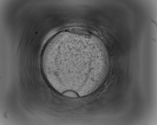 X0000096950006200803071038