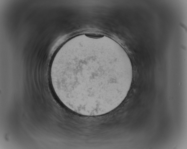 X0000096950007200803071038