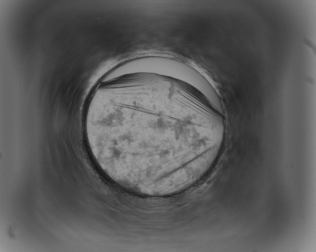 X0000096950008200803071038