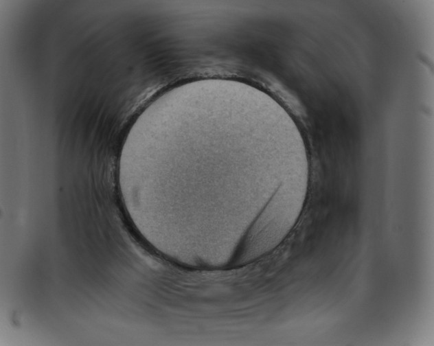 X0000096950009200803071038