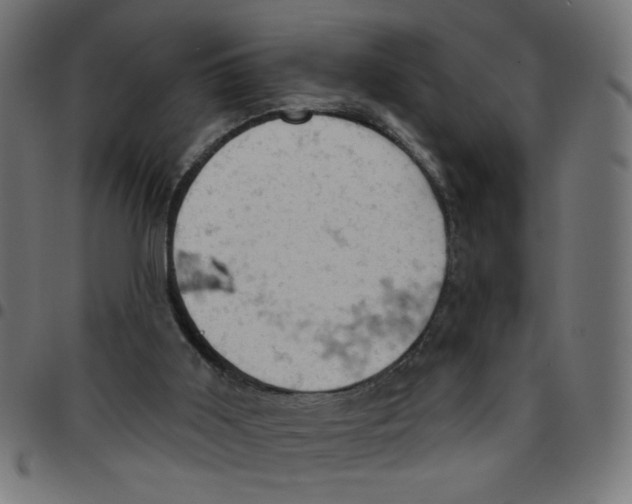 X0000096950011200803071038