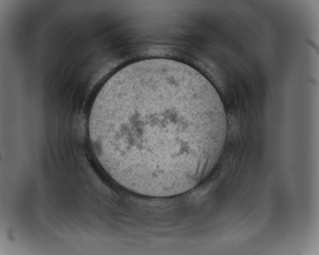 X0000096950016200803071038