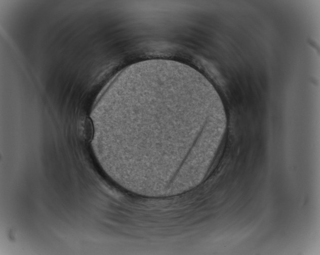 X0000096950017200803071038