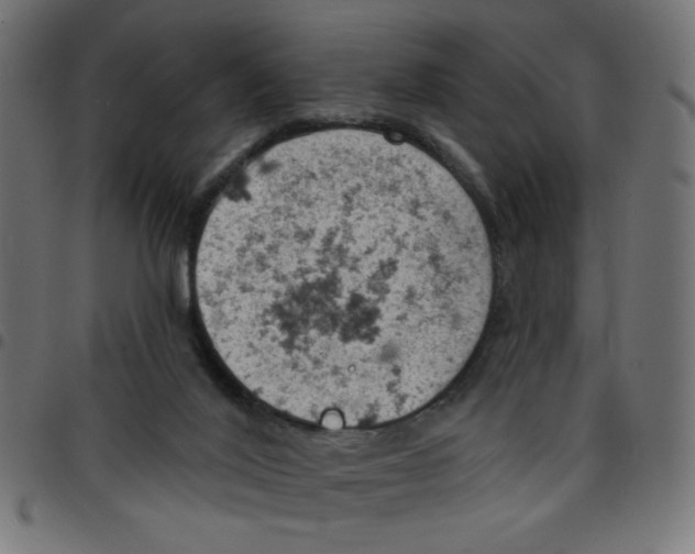 X0000096950020200803071038