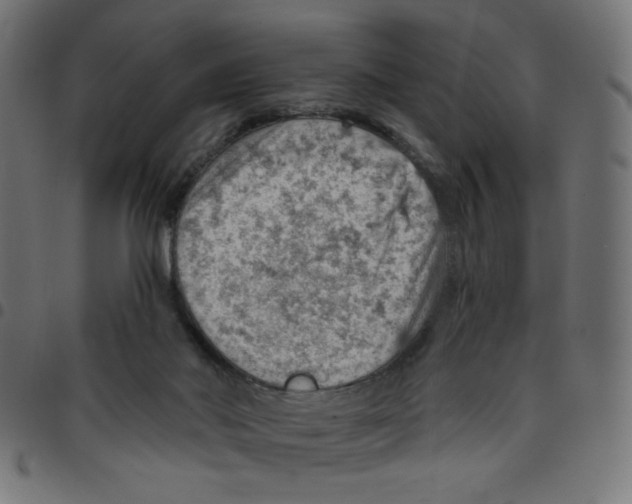X0000096950022200803071038