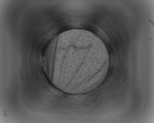 X0000096950029200803071038