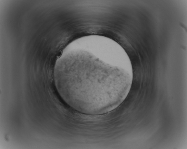 X0000096950031200803071038