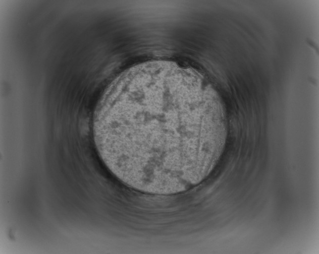 X0000096950032200803071038