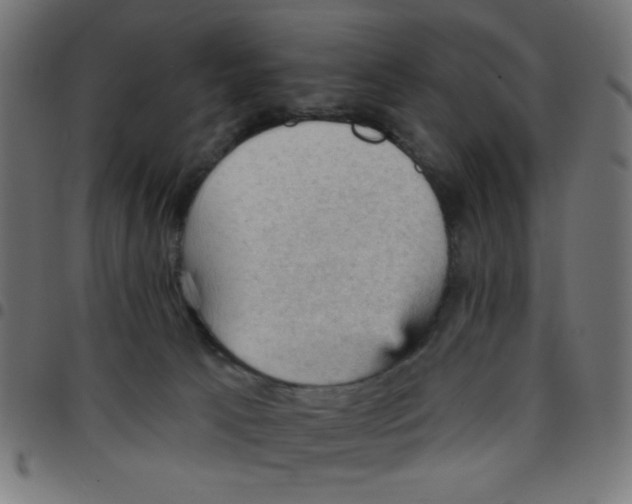 X0000096950033200803071038