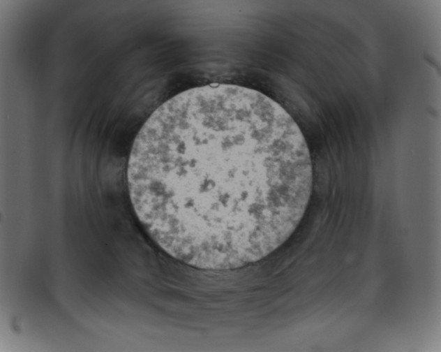 X0000096950034200803071038