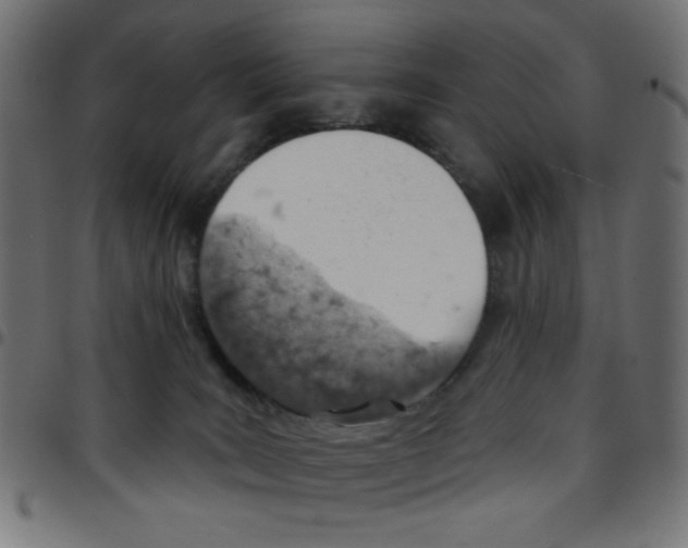 X0000096950035200803071038
