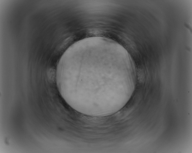 X0000096950036200803071038