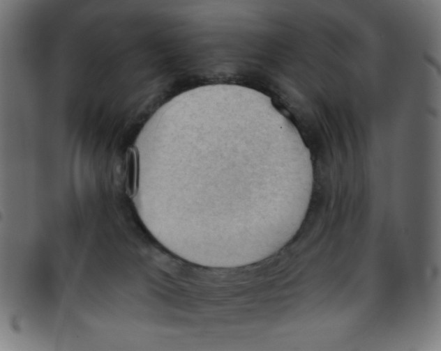 X0000096950037200803071038